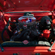 Illustration for article titled Cars and Coffee Austin 7/13/14 Photodump